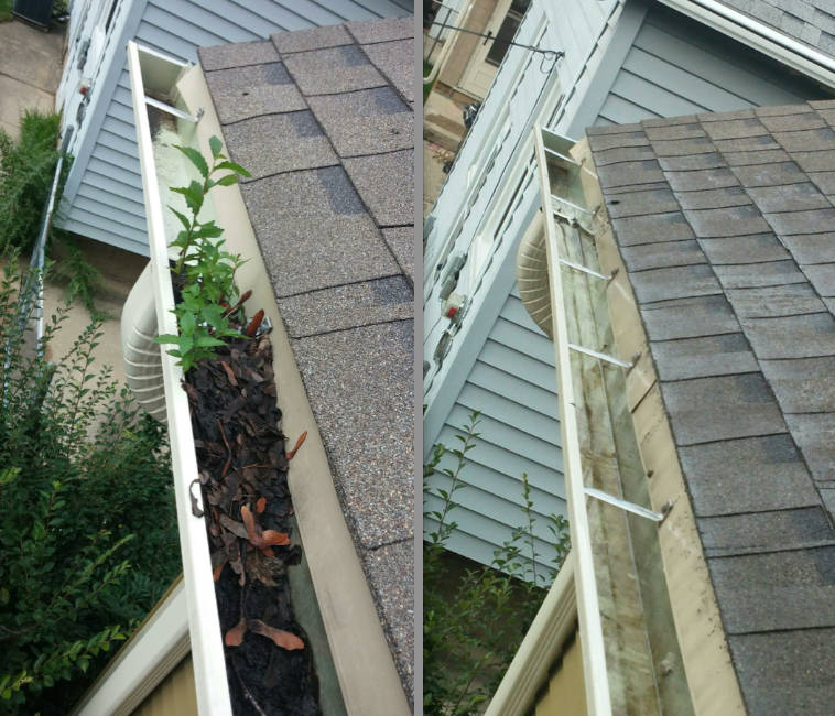 Havre De Grace Gutter Cleaning