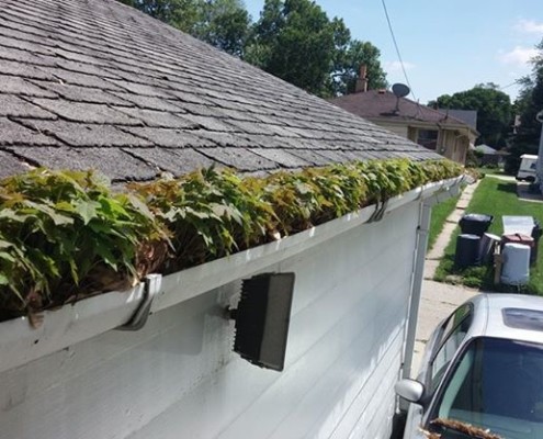 gutter cleaning Indianapolis IN