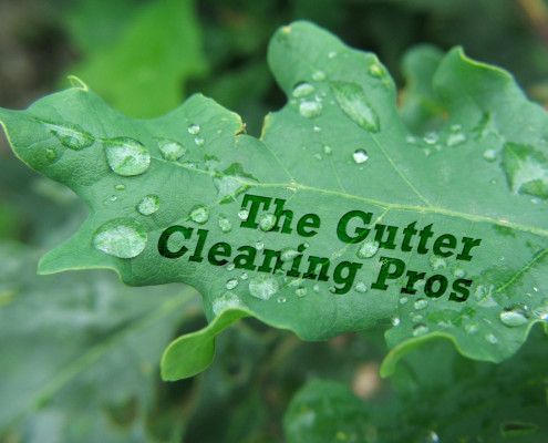 gutter cleaning company
