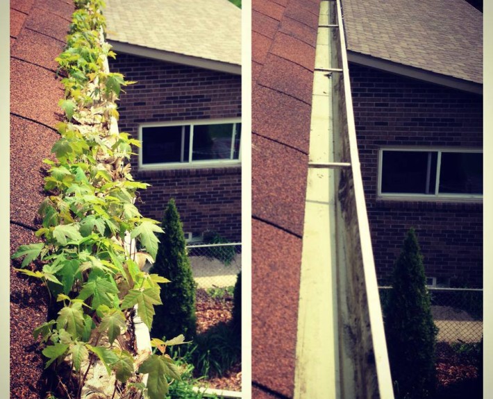 Indianapolis gutter cleaning