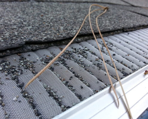 Gutter Guards service Westfield