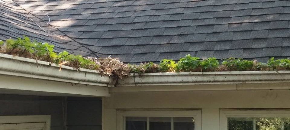 Gutter cleaning Carmel, IN