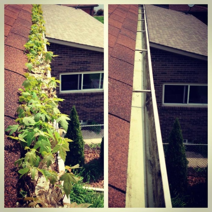 Professionla Gutter Clearning Noblesville Before & After